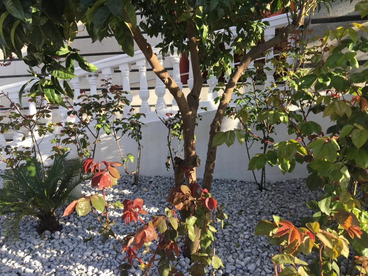 Hotel Torres I Villanueva Del Arzobispo Dış mekan fotoğraf